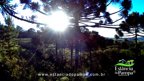 DOS EÓLICOS VIRA P FAZENDA_Moment.00_04_58_14.Quadro418_ca31d1bc62aff2a7cf91fc63253aacf2686bb60c.jpg